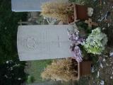 image of grave number 623977